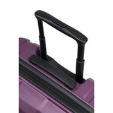 Crate EX Wildlife 55 cm AscendingGrape