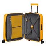 Dashpop SPR. 55 cm EXP TSA Golden Yellow